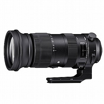 SIGMA 60-600mm F4.5-6.3 DG OS HSM | Sport For Nikon F 