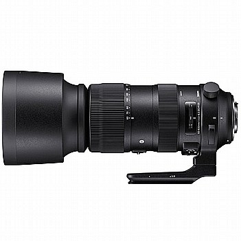 SIGMA 60-600mm F4.5-6.3 DG OS HSM | Sport For Nikon F 