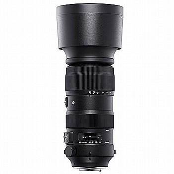 SIGMA 60-600mm F4.5-6.3 DG HSM | Sport ������ ��� 